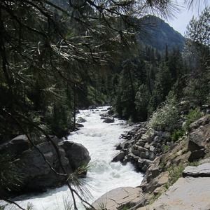 Meet your Posher, Robert